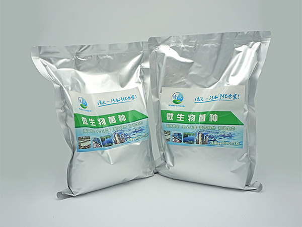 反硝化细菌在污水处理中的运用(上篇)