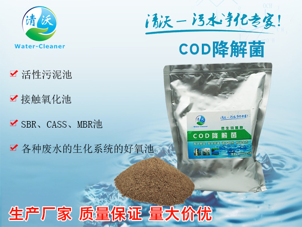 COD降解菌
