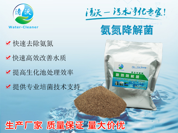氨氮降解菌
