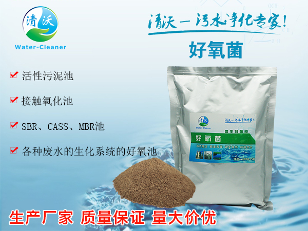 好氧菌